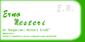 erno mesteri business card